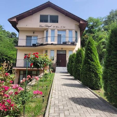 Casa Patryk Hotel Orşova Exterior foto