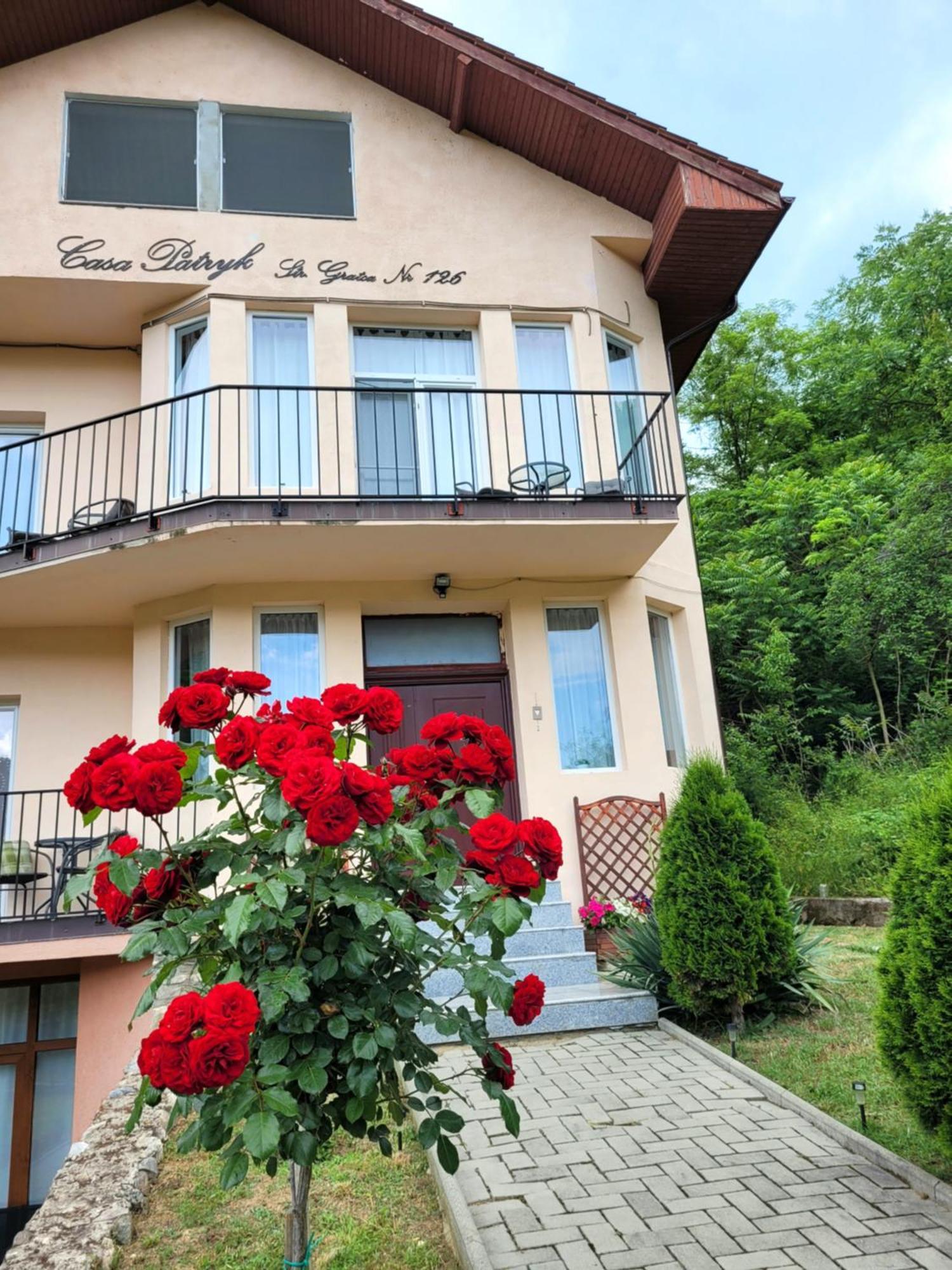 Casa Patryk Hotel Orşova Exterior foto