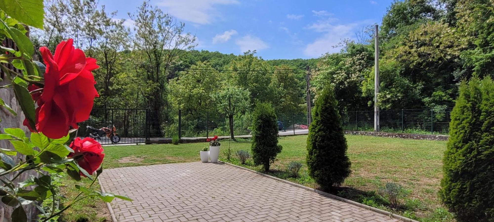 Casa Patryk Hotel Orşova Exterior foto